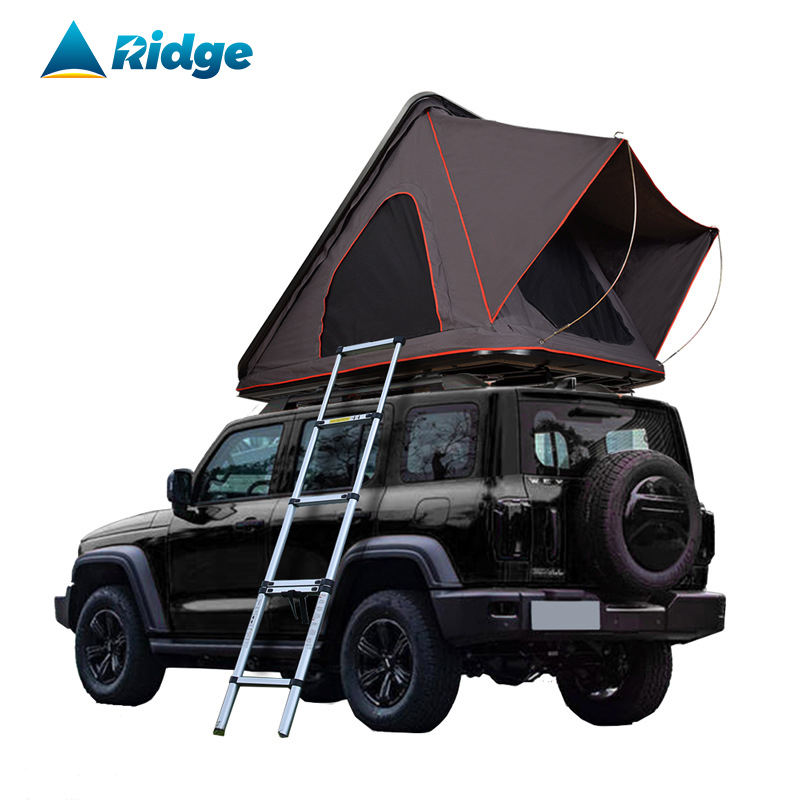 Coquille noire + tissu gris