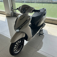 Trottinette électrique adulte 2000W 60V 2 roues, avec batterie au plomb-acide et batterie au lithium, idéale pour les trajets urbains