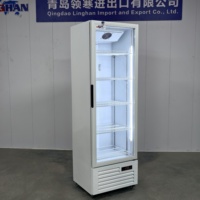 Réfrigérateur commercial à porte vitrée, à refroidissement direct mécanique, en acier inoxydable, à faible niveau sonore, pour la présentation de boissons en magasin