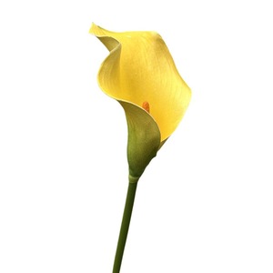 Nhỏ Nhân Tạo Trắng <span class=keywords><strong>Arum</strong></span> <span class=keywords><strong>Calla</strong></span> Lily mềm trang phục cưới trang trí nội thất thương mại nước ngoài sản phẩm - Product Image 5