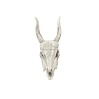 Décoration créative d'Halloween Bohui, crâne d'animal, tête de mouton, décoration murale en plastique pour la maison, modèle de pendentif