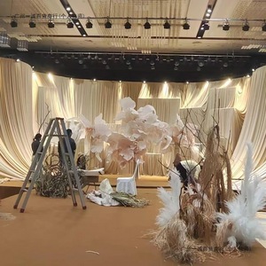 ผ้าม่านงานแต่งงานสีครีมสไตล์เกาหลี ผ้าไหมนมแชมเปญ สำหรับตกแต่งเพดานและฉากหลังในงานแต่งงาน - Product Image 3