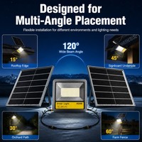 Lámpara Solar de Patio de Alto Lumen, IP66 Impermeable, Encendido/Apagado Automático al Anochecer/Amanecer, Diseño de Fábrica, Soporte para Construcción, Venta al por Mayor, OEM, ODM