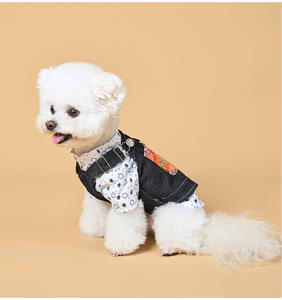 Bestseller Transfrontaliero Estivo per il Ritorno a Scuola: Grazioso Vestito per Cani e Gatti in Denim a Quadri Stile Thai e Britannico - Product Image 1