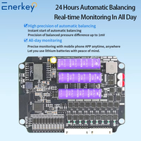 Enerkey-Équilibreur Intelligent Actif 2A 4A, Égaliseur 3S 4S 5S 6S 7S 8S 9S 10S 12S 14S 16S Lifepo4/Batterie Li-ion