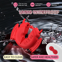 Elektrische Nippelklemmen für Erwachsene mit Fernbedienung, USB-betriebener Brust-Vibrator, 10 Frequenzen, IPX7 Wasserdicht, Ohne Gleitmittel