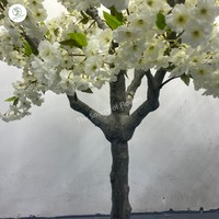 Vente chaude 250cm Blanc Fleur De Cerisier Fleur Artificielle Arbre En Plastique pour Les Décorations De Restaurant De Mariage En Gros Disponible
