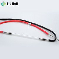 Lampe laser au xénon Quanta, pièces détachées pour appareil de beauté, lampe chinoise, lampe Lumi Quanta pour l'épilation