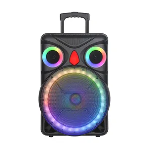 Redwingy NDR-B15 40W 15inch High Power DJ Party Audio Wireless Woofer Speaker LED Light Loud and Clear Party Trolley Speaker