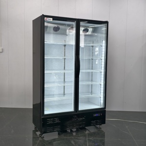Frigorifero Commerciale a Due Porte con Temperatura Singola, Controllo Meccanico, Porta in Vetro, LED, Ripiani Regolabili, Refrigeratore per Bevande - Product Image 6