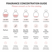 Mini-parfums de marque originaux en gros – Coffret de miniatures de luxe avec reçu pour femme – Parfums en vrac pour la vente en gros