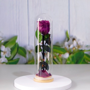 2024 Regalo de <span class=keywords><strong>Cumpleaños</strong></span> flor preservada Rosa cúpula de cristal regalos para mujeres <span class=keywords><strong>rosas</strong></span> preservadas con tallo rosa de cristal flores eternas - Product Image 4