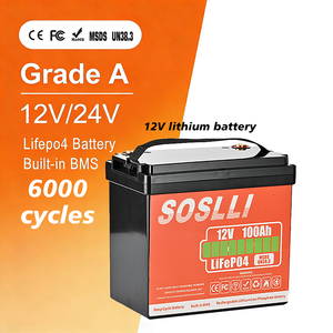 Lifepo4 24V Batterij 12V 24V 48V 100Ah 120Ah 200Ah 300Ah Lithium-ion Batterijen voor Zonne-energie Off-grid Backup Camper Boot - Product Image 2