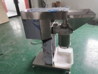 Broyeur Commercial Industriel Haute Vitesse en Acier Inoxydable 304 pour Fruits et Légumes, Hachoir Alimentaire pour Ail, Piment et Fruits