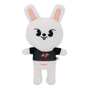 Peluche SKZOO de 25 cm, Muñecos de Peluche de Dibujos Animados para Niños, Regalo de Cumpleaños, Navidad, Fiesta, Leeknow, Hyunjin, Venta al por Mayor de Fábrica - Product Image 3