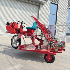 Transplanter 6 <b>Row</b> 300 Mm Spacing High Productivity Rice Planting Agriculture <b>Machinery</b> - Product Image 2