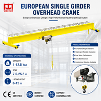 Pont roulant monopoutre européen 5t 10t 12.5t pour entrepôt, usine sidérurgique, équipement de manutention de matériaux industriels
