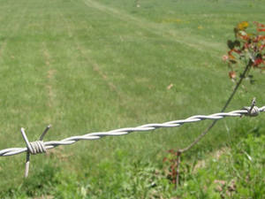 Clôture en acier inoxydable galvanisé/revêtu de PVC, anti-corrosion, fil barbelé de jardin, 50 kg - Product Image 6