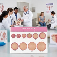 Modèle de dilatation cervicale en silicone 1cm-10cm, modèle de démonstration de dilatation du col de l'utérus pour l'enseignement et la formation en obstétrique et en sage-femme