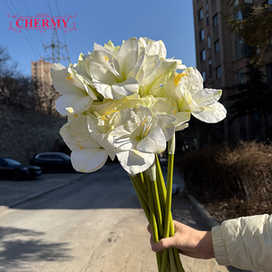 ดอกคลีเวียมินิอาตาปลอมสีขาวคุณภาพสูง DC148 พิมพ์แบบ 3 มิติ สำหรับตกแต่งบ้าน โรงแรม โต๊ะต้อนรับ - Product Image 3