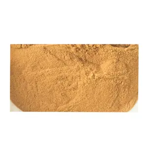 Extracto orgánico a granel de hongo Lingzhi Ganoderma Lucidum Reishi