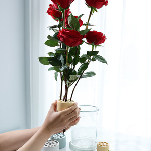 Soporte para Ramos de Flores, Ajustable, Reutilizable, Ecológico, Impermeable, con Espiral para Almacenamiento de Tallos, Organizador de Plástico, para el Día del Padre - Product Image 2