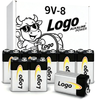 Alkaline 9V Batteries Long-Lasting High Capacity Smoke Detector Radios Clocks Meters Custom Logo Manufacturer