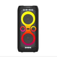 Altavoz Inalámbrico para Fiestas de Gran Potencia con Precio Competitivo OEM, Altavoz para Karaoke en Interiores y Exteriores (B6501K)