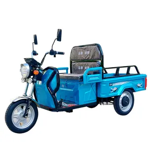 Minitype 3 plazas pasajeros adultos triciclo 3 ruedas bicicleta eléctrica triciclo eléctrico 60 voltios triciclo grasa