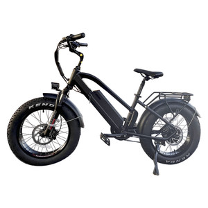 十大ebike制造商中国工厂最快16英寸20英寸胖轮胎电动自行车bicicletta mtb电动自行车 - Product Image 3