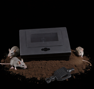 <b>Mouse</b> Trap Box With Key Household Sundries - Product Image 4