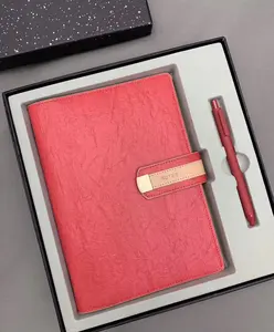 2022 a5 Tagebuch benutzer definierte Leder Journal Notizbuch Geschenkset mit Stift in Box