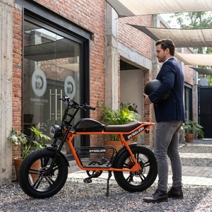 Vélo électrique à pneus larges de 20 pouces avec frein à disque hydraulique, vélo tout-terrain avec pédales pliables pour les voyages d'aventure en plein air - Product Image 2