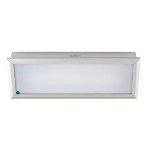 Nuovo Design del produttore della Cina durevole bagno illuminazione a soffitto copertura in acrilico Base in acciaio inox fluorescente IP44 prezzo basso