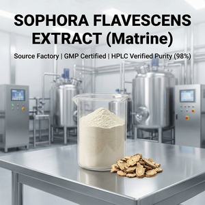 Extrato em Pó de Raiz de Sophora Flavescens Natural de Alta Pureza, Extração por Solvente, Grau Alimentício, Matrina Oximatrina 1%-<span class=keywords><strong>10</strong></span>% 1kg - Product Image 1