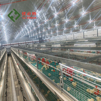 Cage à poulets automatique de type H, nouvelle génération, anti-rouille, en acier galvanisé à chaud, pour poulets commerciaux