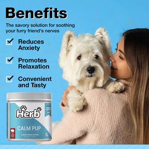 Friandises apaisantes pour chiens, marque privée OEM/ODM, favorisant la relaxation et le soulagement de l'anxiété, compléments alimentaires pour animaux de compagnie - Product Image 2