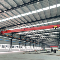 Pont roulant monopoutre de 5 à 10 tonnes |   Grue de levage électrique pour atelier et entrepôt |   Certifié CE