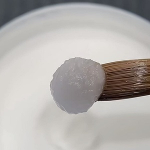 Poudre acrylique 100% poils de Kolinsky, outil de beauté pour nail art, pinceau à ongles avec manche en bois, fournisseurs de produits pour ongles de haute qualité - Product Image 6