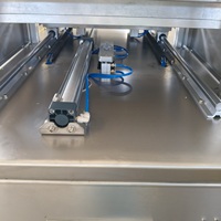 Machine d'emballage électrique de haute précision pour le remplissage de barquettes de produits laitiers, de jambon et de plats occidentaux