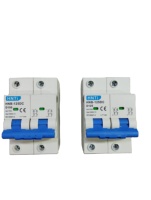Disjoncteur miniature DC dédié aux systèmes photovoltaïques 2P 1000VDC 100A Courbe D Protection contre les surcharges et les courts-circuits