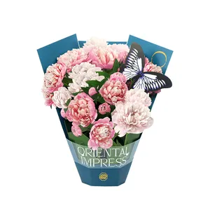 Özel kağıt Pop Up çiçek buket tebrik kartı 3D ayçiçeği teşekkür kartı