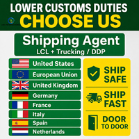 DDP DDU Envío Marítimo y Aéreo FCL LCL de China a Europa, Estados Unidos, Reino Unido, Canadá, México, España, Australia, Agente de Carga, Agente de Contenedores