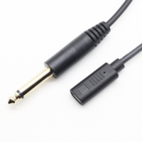 Câble adaptateur jack audio mono AUX mâle 6,35 mm vers type-c femelle 150 mm noir