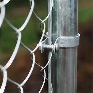 מחיר הסיטונאי חם טבל גדר ביטחון מגולוון 50 x50 מ "מ 60 x60x60mm רשת רשת רשת תיל עם אביזרי מתכת - Product Image 3