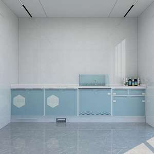 خزائن صيدلية طبية حديثة مخصصة للبيع بالجملة، متينة وسهلة التنظيف، أثاث عرض طبي من الفولاذ المقاوم للصدأ للتركيب على الحائط - Product Image 4