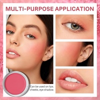 Produsen OEM/ODM krim perona pipi Matte Makeup wajah hasil akhir untuk kulit cerah alami bubuk menawan tabir surya Label pribadi