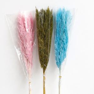 Cañas Pequeñas de Colores, Leña, Flores Inmortales, Decoración para el Hogar, Bodas, Navidad, Pascua, Hierba de Pampas, Flores Secas - Product Image 6