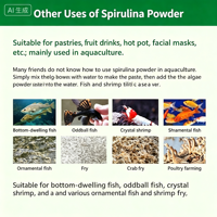 Poudre de polysaccharides de spiruline de qualité alimentaire soluble dans l'eau, extrait protéiné à 60 % pour complément alimentaire
