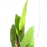 Plantes de qualité chaude en plastique bonsaï simulation artificielle oiseau de paradis